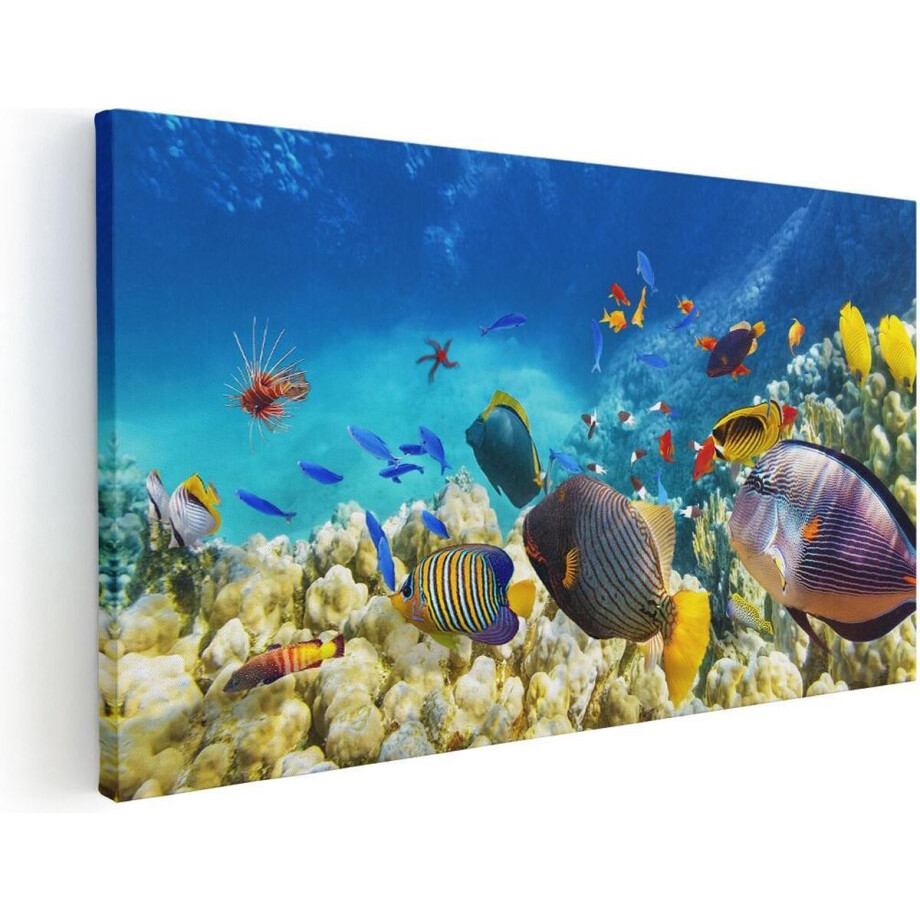 Artaza Canvas Schilderij Vissen - 80x40 cm - Wanddecoratie Zee - Muurdecoratie Koraalrif - Schilderijen Op Canvas Onderwater Artaza Canvas Schilderij Vissen - 80x40 cm - Wanddecoratie Zee - Muurdecoratie Koraalrif - Schilderijen Op Canvas Onderwater afbeelding 1