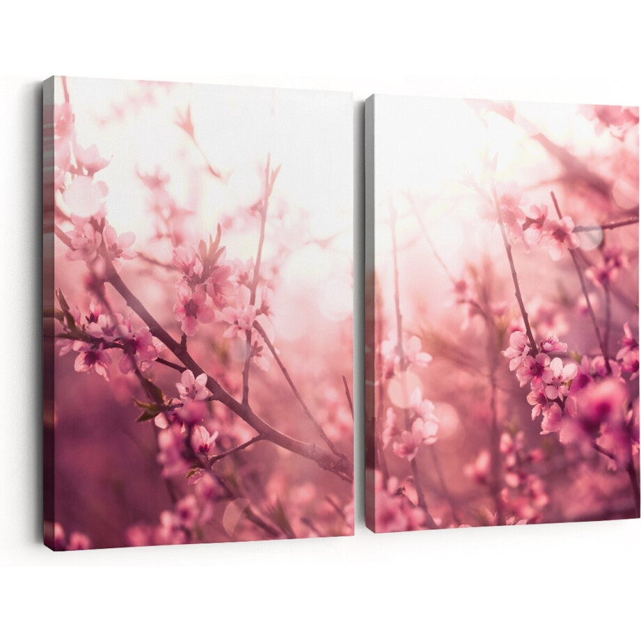 Artaza Canvas Schilderij Tweeluik Roze Bloesemboom Met Zonneschijn - 60x40 - Klein - Foto Op Canvas - Canvas Print afbeelding 1