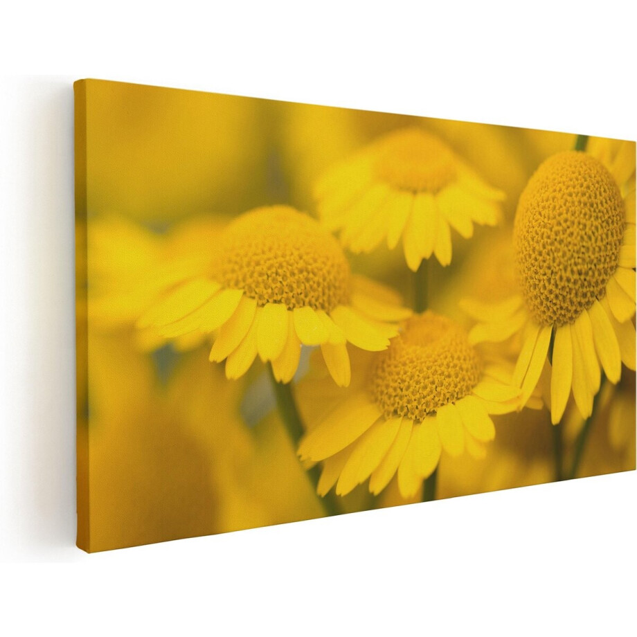 Artaza Canvas Schilderij Bloemen - 100x50 cm - Wanddecoratie Geel - Muurdecoratie Bloemen Woonkamer - Schilderij Bloemen Close-Up afbeelding 1