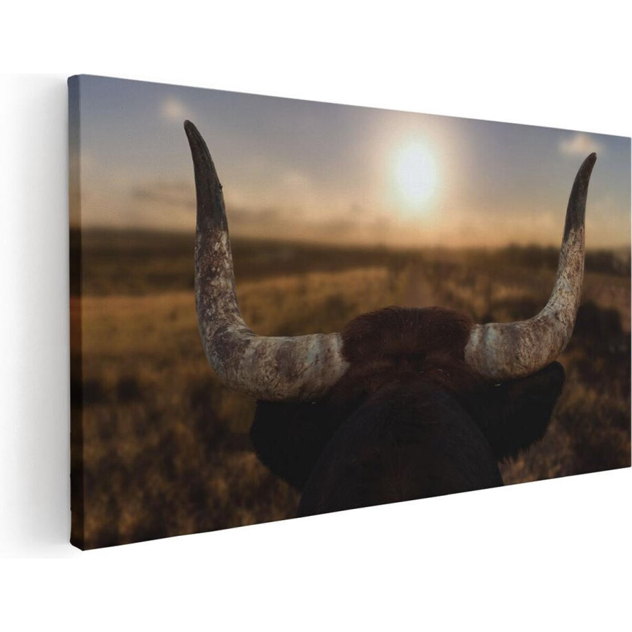 Artaza Canvas Schilderij Stierenhoorns Bij Zonsondergang - 100x50 - Groot - Foto Op Canvas - Canvas Print afbeelding 1