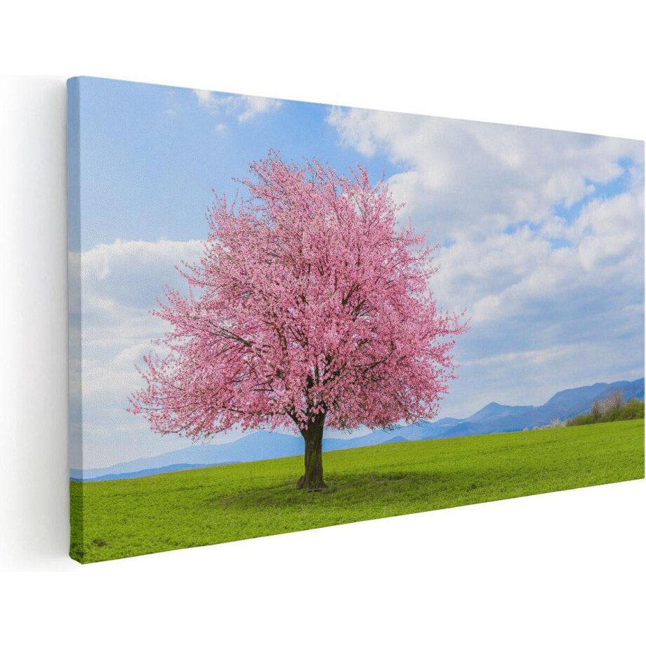 Artaza Canvas Schilderij Roze Sakura Bloesem Boom In Het Groene Veld - 120x60 - Groot - Foto Op Canvas - Canvas Print afbeelding 1
