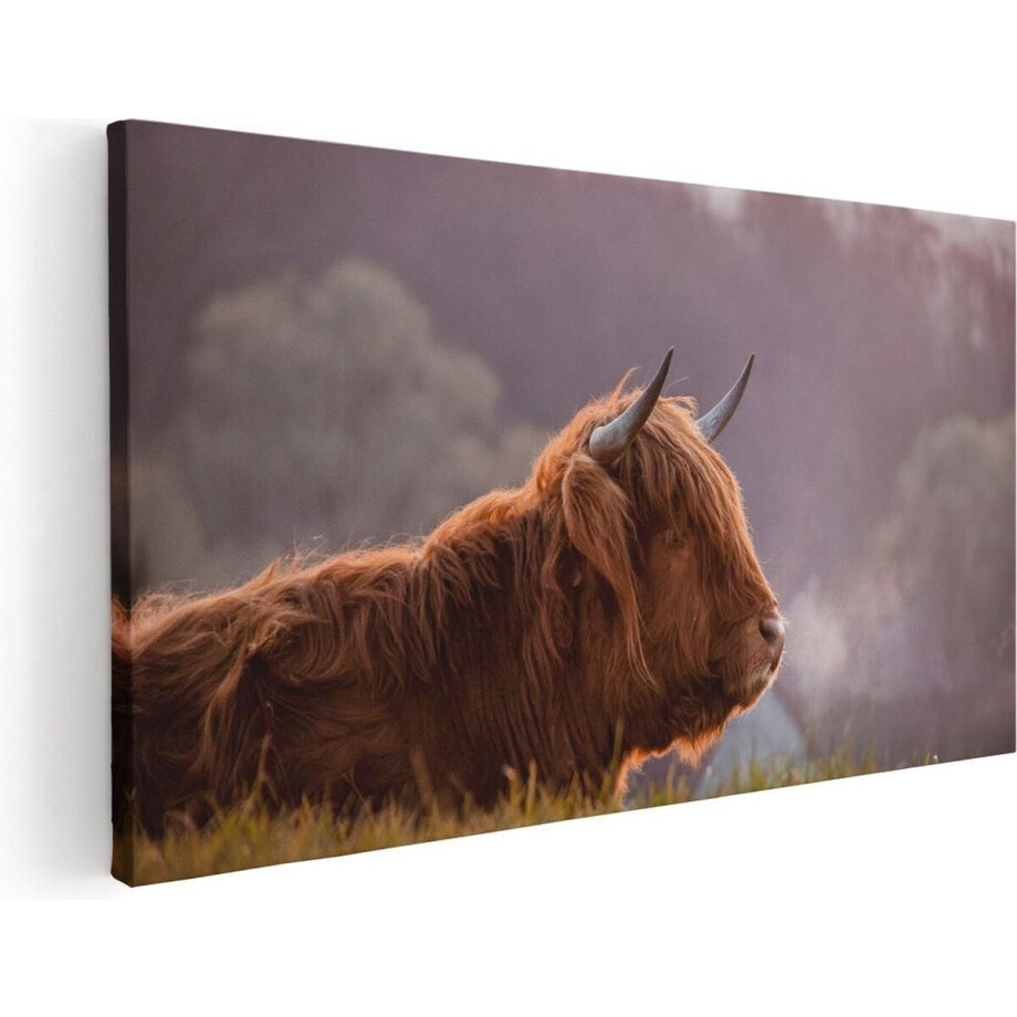 Artaza Canvas Schilderij Schotse Hooglander Koe Ligt In Het Gras - 100x50 - Groot - Foto Op Canvas - Canvas Print Artaza Canvas Schilderij Schotse Hooglander Koe Ligt In Het Gras - 100x50 - Groot - Foto Op Canvas - Canvas Print afbeelding 1