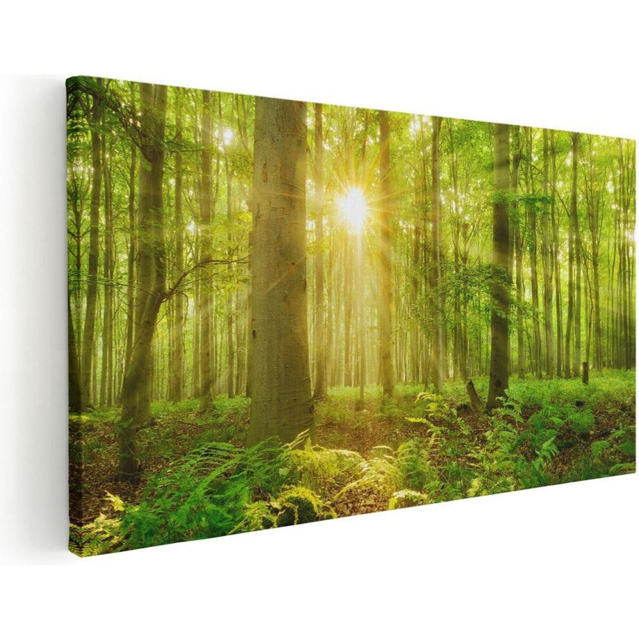 Artaza Canvas Schilderij Groen Bos Met Schijnende Zonnestralen - 60x30 cm - Wanddecoratie Woonkamer - Schilderijen - Muurdecoratie afbeelding 1