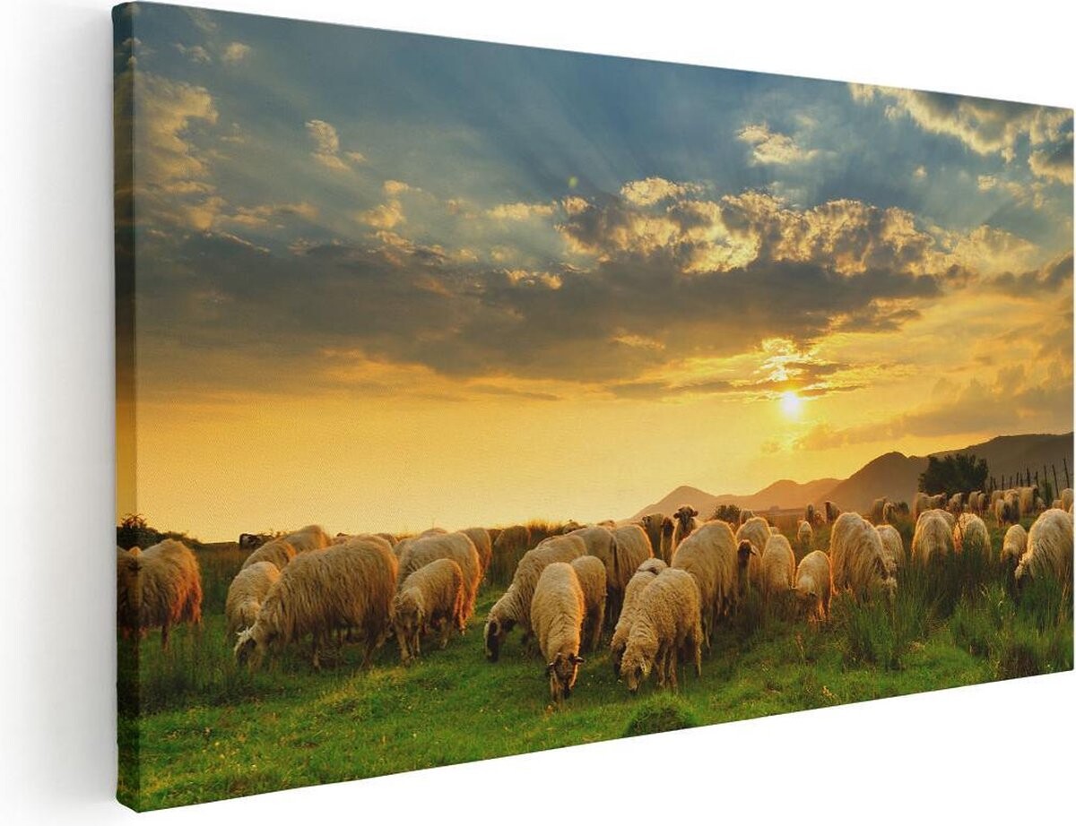 Artaza Canvas Schilderij Kudde Schapen op het Gras bij Zonsondergang - 80x40 - Foto Op Canvas - Canvas Print afbeelding 1