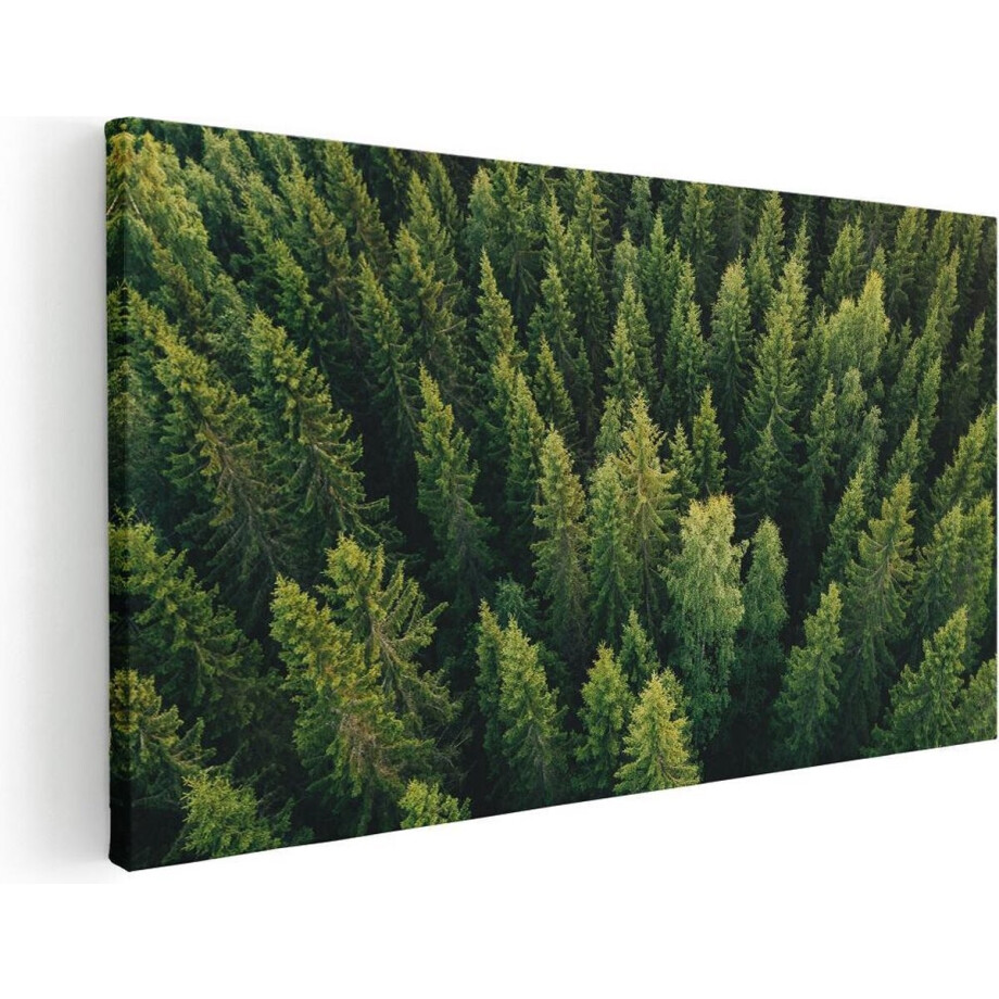 Artaza Canvas Schilderij Bos - 120x60 cm - Groot - Wanddecoratie Natuur - Muurdecoratie Bomen - Schilderijen Op Canvas Landschap Artaza Canvas Schilderij Bos - 120x60 cm - Groot - Wanddecoratie Natuur - Muurdecoratie Bomen - Schilderijen Op Canvas Landschap afbeelding 1