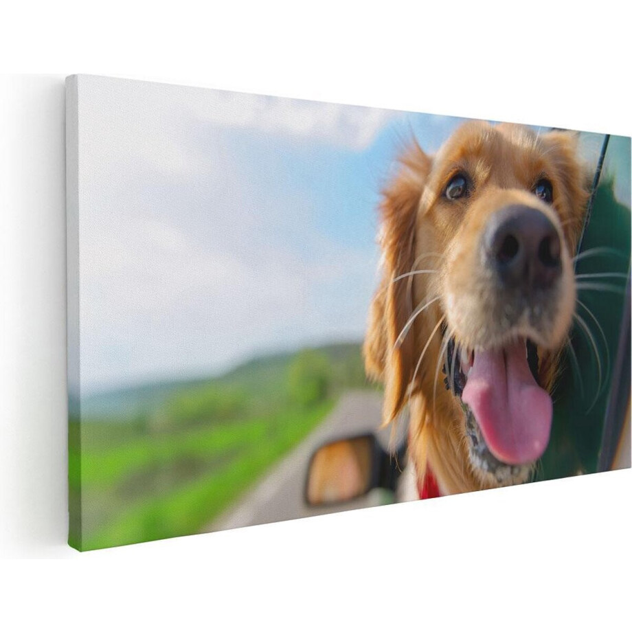 Artaza Canvas Schilderij Hond - 100x50 cm - Wanddecoratie Auto - Muurdecoratie Dieren - Schilderijen Op Canvas Hond afbeelding 1