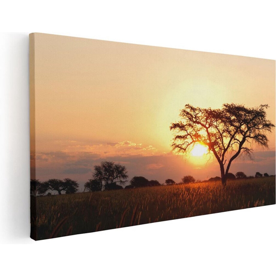 Artaza Canvas Schilderij Zonsondergang Achter Een Acacia Boom - 40x20 - Klein - Foto Op Canvas - Canvas Print Artaza Canvas Schilderij Zonsondergang Achter Een Acacia Boom - 40x20 - Klein - Foto Op Canvas - Canvas Print afbeelding 1