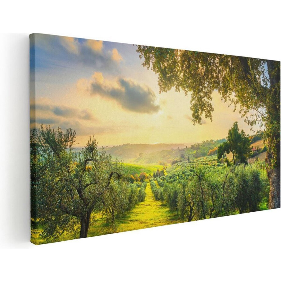 Artaza Canvas Schilderij Toscane - 120x60 cm - Groot - Wanddecoratie Landschap - Muurdecoratie Olijfboom - Schilderijen Op Canvas Natuur afbeelding 1