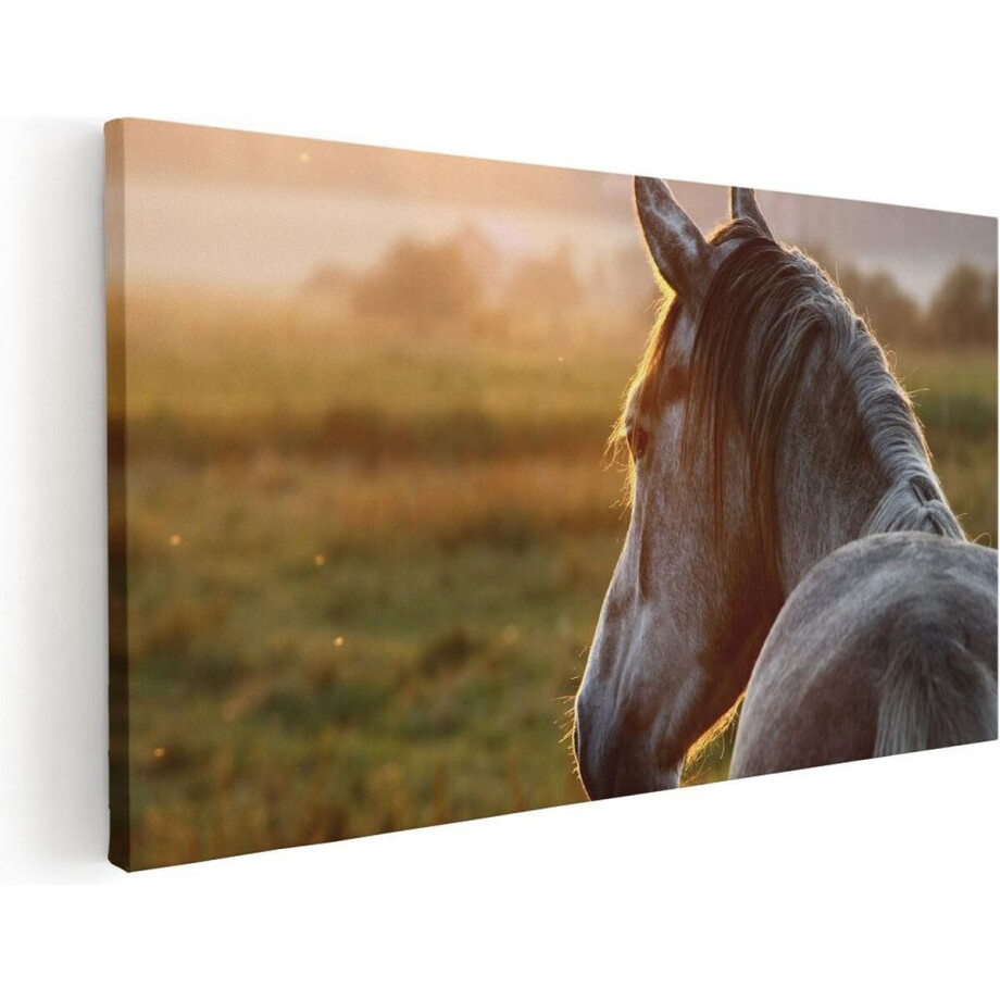 Artaza Canvas Schilderij Paard - 80x40 cm - Wanddecoratie Dieren - Muurdecoratie Zonsondergang - Schilderijen Op Canvas Artaza Canvas Schilderij Paard - 80x40 cm - Wanddecoratie Dieren - Muurdecoratie Zonsondergang - Schilderijen Op Canvas afbeelding 1
