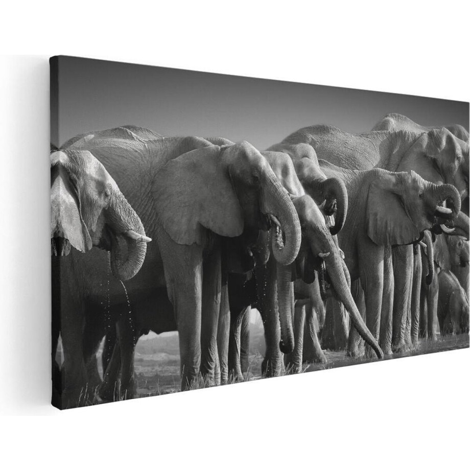 Artaza Canvas Schilderij Olifanten - 120x60 cm - Groot - Wanddecoratie Dieren - Muurdecoratie Afrika - Schilderijen Op Canvas Zwart Wit Artaza Canvas Schilderij Olifanten - 120x60 cm - Groot - Wanddecoratie Dieren - Muurdecoratie Afrika - Schilderijen Op Canvas Zwart Wit afbeelding 1