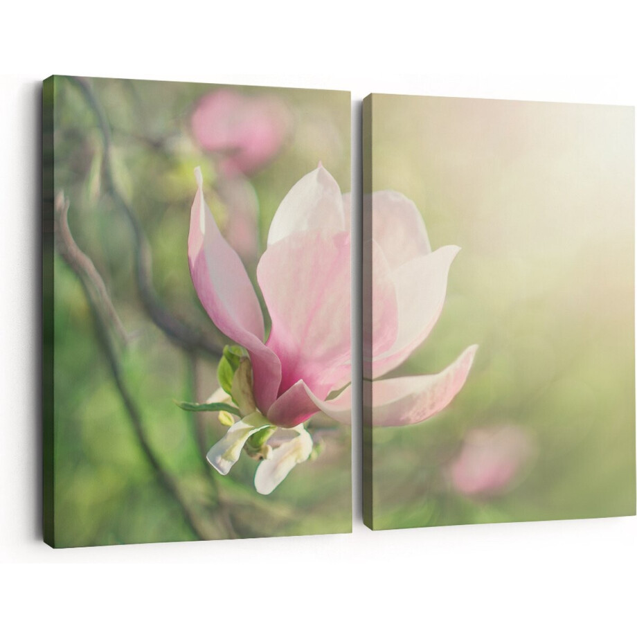 Artaza Canvas Schilderij Tweeluik Roze Magnolia Bloem - 180x120 - Groot - Foto Op Canvas - Canvas Print Artaza Canvas Schilderij Tweeluik Roze Magnolia Bloem - 180x120 - Groot - Foto Op Canvas - Canvas Print afbeelding 1