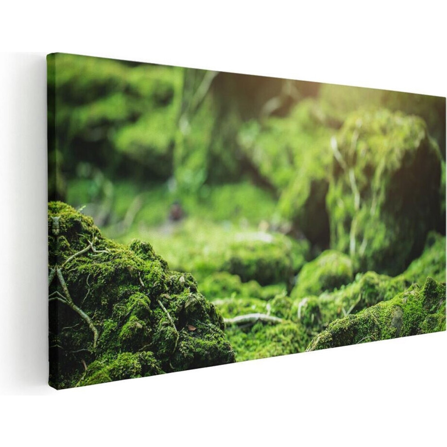 Artaza Canvas Schilderij Mos - 40x20 cm - Klein - Wanddecoratie Bos - Muurdecoratie Natuur - Schilderijen Op Canvas afbeelding 1