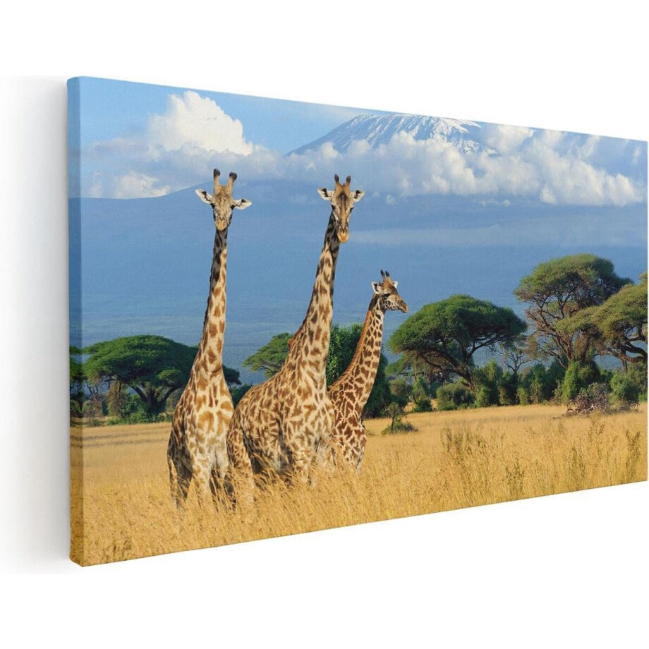 Artaza Canvas Schilderij Drie Giraffes In De Savanne - 100x50 - Groot - Foto Op Canvas - Canvas Print Artaza Canvas Schilderij Drie Giraffes In De Savanne - 100x50 - Groot - Foto Op Canvas - Canvas Print afbeelding 1