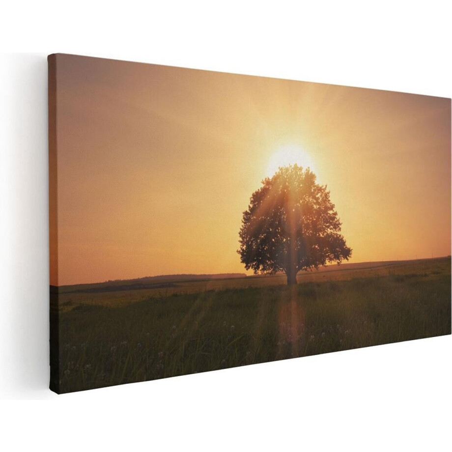 Artaza Canvas Schilderij Boom - 100x50 cm - Wanddecoratie Zonsondergang - Muurdecoratie Natuur - Schilderijen Op Canvas Landschap afbeelding 1