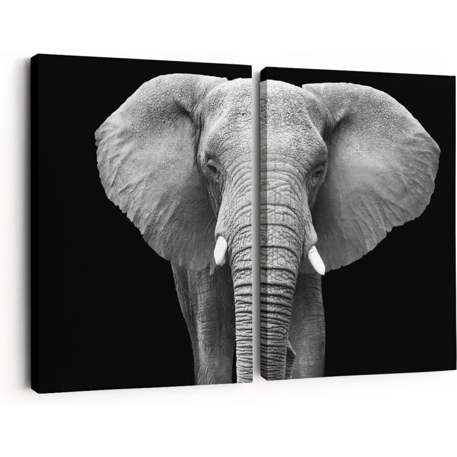 Artaza Canvas Schilderij Tweeluik Olifant - Zwart Wit - 60x40 - Klein - Foto Op Canvas - Canvas Print afbeelding 1