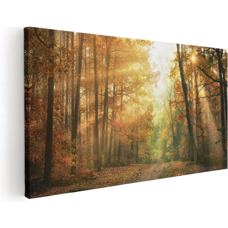 Artaza Canvas Schilderij Herfstbos Met Zonneschijn - 60x30 cm - Wanddecoratie Woonkamer - Schilderijen - Muurdecoratie Artaza Canvas Schilderij Herfstbos Met Zonneschijn - 60x30 cm - Wanddecoratie Woonkamer - Schilderijen - Muurdecoratie afbeelding 1