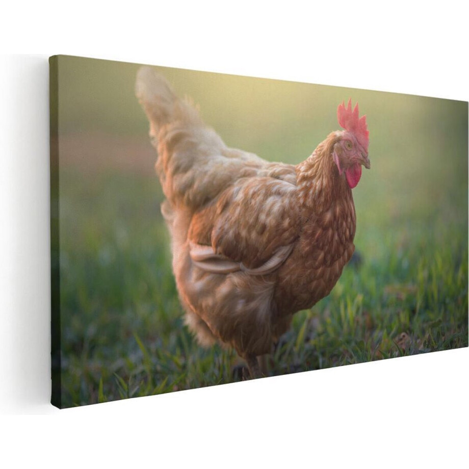 Artaza Canvas Schilderij Kip - 100x50 cm - Wanddecoratie Dieren - Muurdecoratie Boerderij - Schilderijen Op Canvas afbeelding 1
