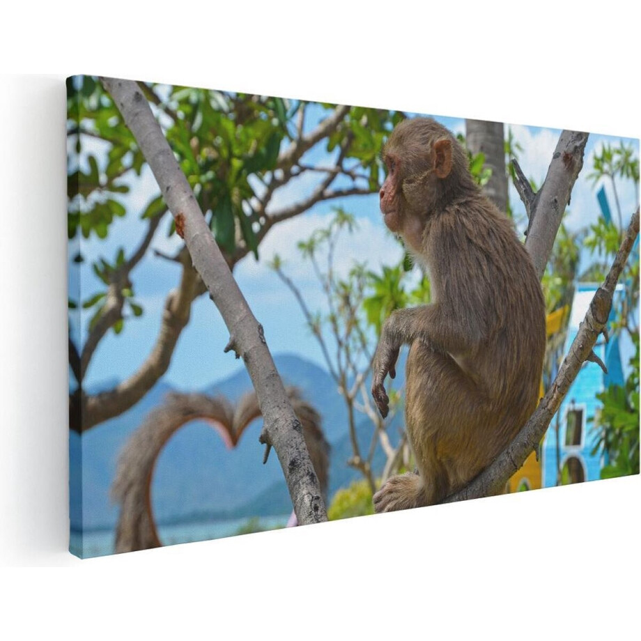 Artaza Canvas Schilderij Aap In De Boom - 80x40 cm - Wanddecoratie Woonkamer - Schilderijen - Muurdecoratie Artaza Canvas Schilderij Aap In De Boom - 80x40 cm - Wanddecoratie Woonkamer - Schilderijen - Muurdecoratie afbeelding 1