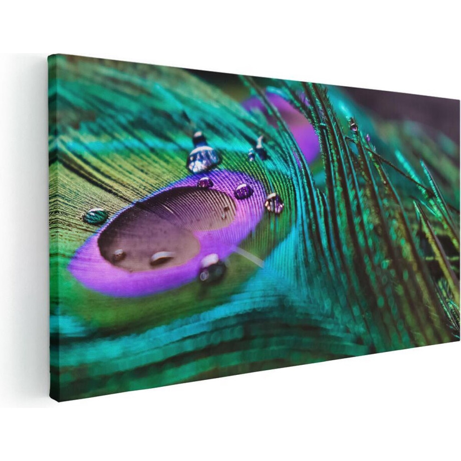 Artaza Canvas Schilderij Kleurrijke Pauw Veer Met Waterdruppels  - 100x50 - Groot - Foto Op Canvas - Canvas Print afbeelding 1