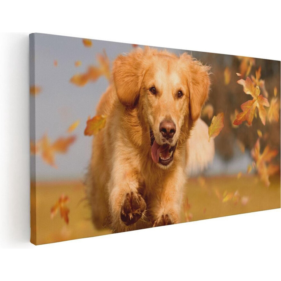 Artaza Canvas Schilderij Golden Retriever Hond In De Herfst Bladeren - 80x40 - Foto Op Canvas - Canvas Print afbeelding 1