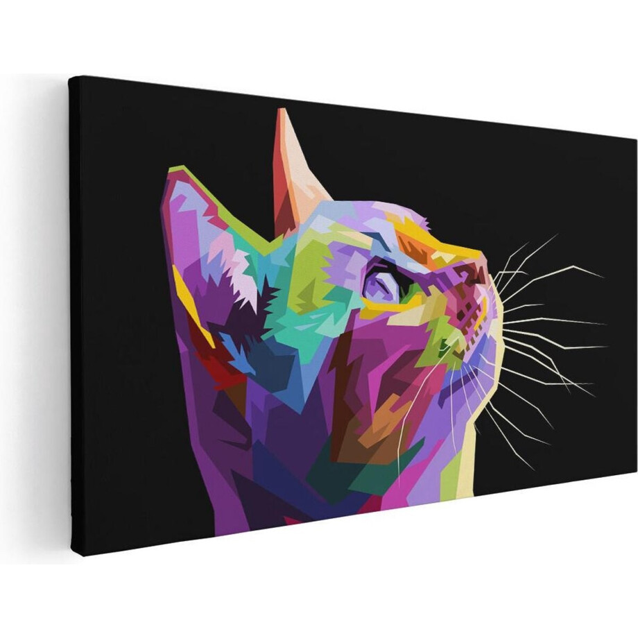 Artaza Canvas Schilderij Kleurrijke Kat Kijkt Naar Boven - Abstract - 60x30 - Foto Op Canvas - Canvas Print afbeelding 1