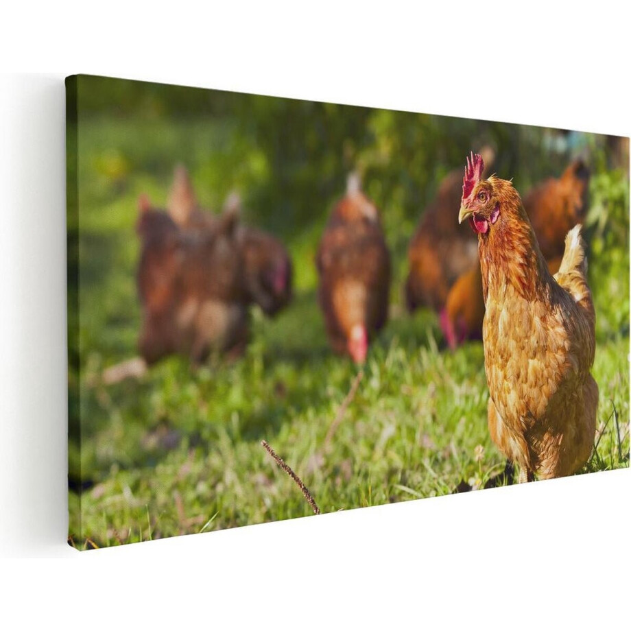 Artaza Canvas Schilderij Kippen in het Gras - 100x50 - Groot - Foto Op Canvas - Canvas Print afbeelding 1