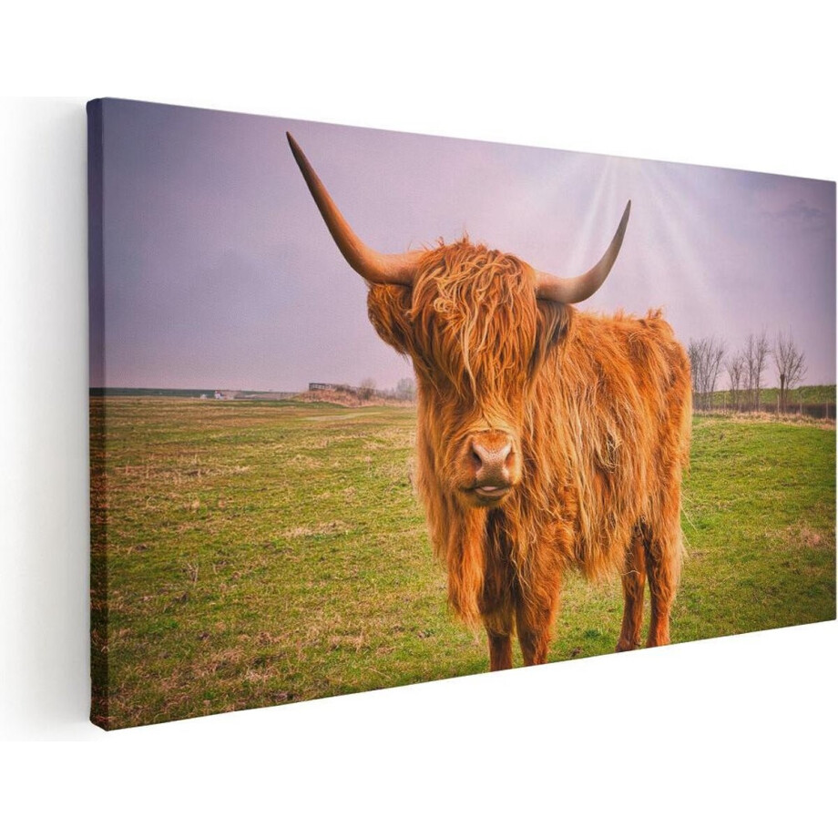 Artaza Canvas Schilderij Bruine Schotse Hooglander Koe - Kleur - 60x30 - Foto Op Canvas - Canvas Print afbeelding 1