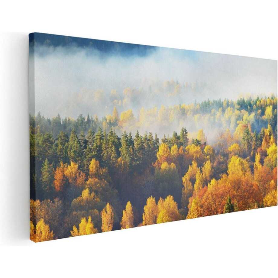 Artaza Canvas Schilderij Herfstbos - 100x50 cm - Wanddecoratie Landschap - Muurdecoratie Bergen - Schilderijen Op Canvas Natuur Artaza Canvas Schilderij Herfstbos - 100x50 cm - Wanddecoratie Landschap - Muurdecoratie Bergen - Schilderijen Op Canvas Natuur afbeelding 1