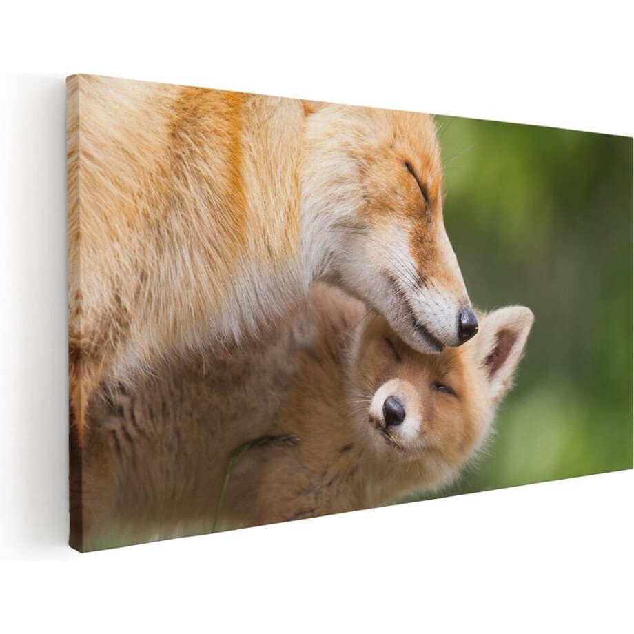 Artaza Canvas Schilderij Vos - 80x40 cm - Wanddecoratie Dieren - Muurdecoratie Vossenfamilie - Schilderijen Op Canvas afbeelding 1