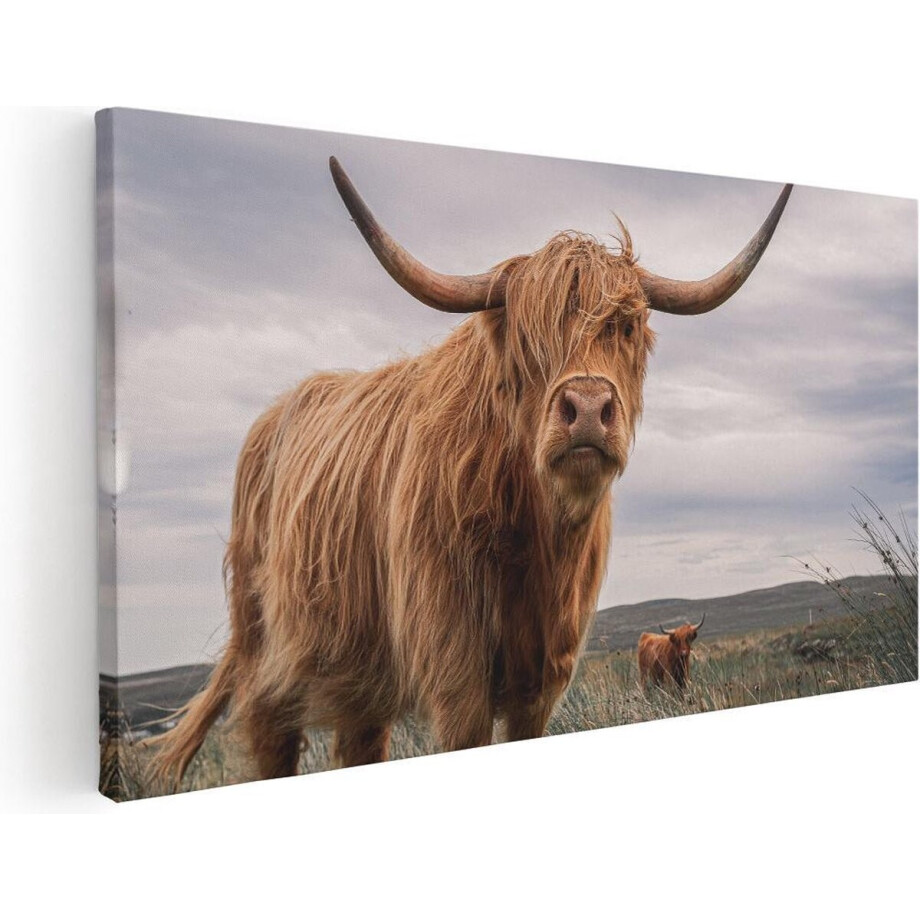 Artaza Canvas Schilderij Schotse Hooglander - 40x20 cm - Klein - Wanddecoratie Woonkamer - Muurdecoratie Dieren - Schilderijen Op Canvas afbeelding 1