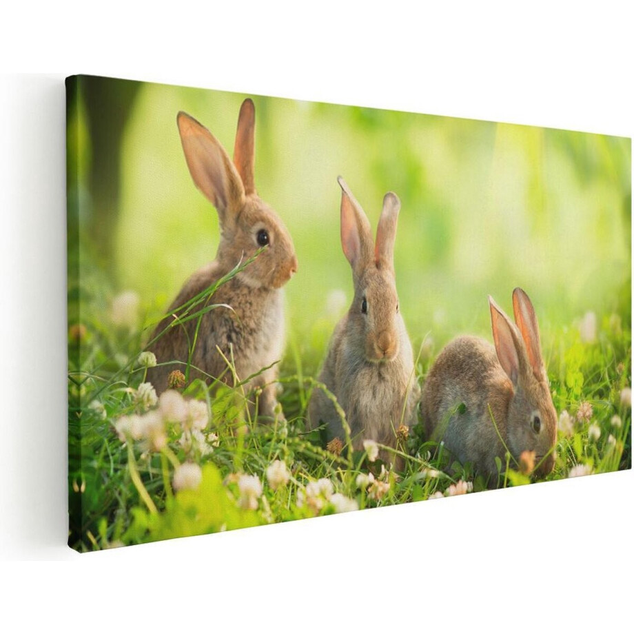 Artaza Canvas Schilderij Drie Konijnen Op Het Gras Bij Zonneschijn - 120x60 - Groot - Foto Op Canvas - Canvas Print Artaza Canvas Schilderij Drie Konijnen Op Het Gras Bij Zonneschijn - 120x60 - Groot - Foto Op Canvas - Canvas Print afbeelding 1