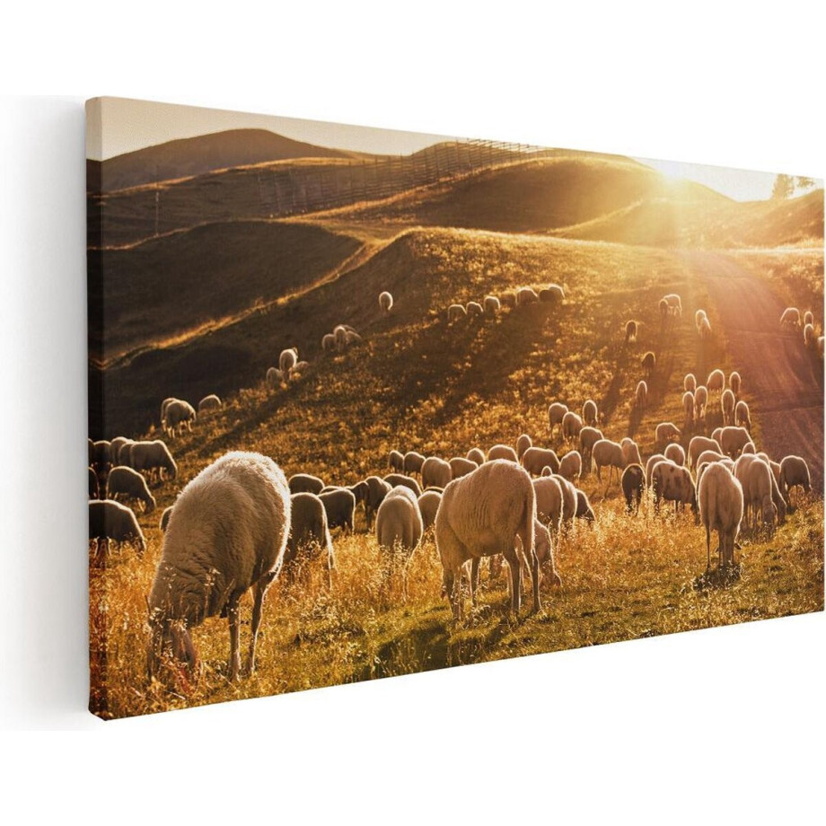 Artaza Canvas Schilderij Schapen in de Heuvels bij Zonsondergang - 120x60 - Groot - Foto Op Canvas - Canvas Print afbeelding 1
