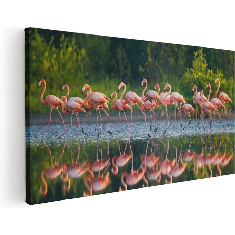 Artaza Canvas Schilderij Kudde Flamingo's op het Water - 40x20 - Klein - Foto Op Canvas - Canvas Print afbeelding 1