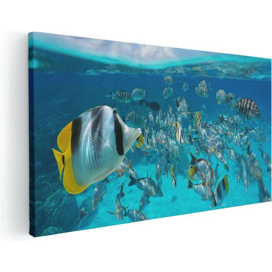 Artaza Canvas Schilderij Zwerm Gele Vissen in het Water - 100x50 - Groot - Foto Op Canvas - Canvas Print Artaza Canvas Schilderij Zwerm Gele Vissen in het Water - 100x50 - Groot - Foto Op Canvas - Canvas Print afbeelding 1