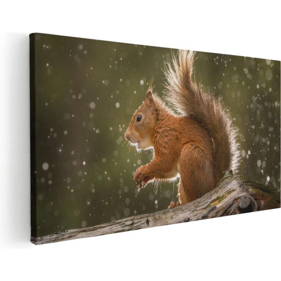 Artaza Canvas Schilderij Rode Eekhoorn - 60x30 cm - Wanddecoratie Boom - Muurdecoratie Dieren - Kamer Accessoires afbeelding 1