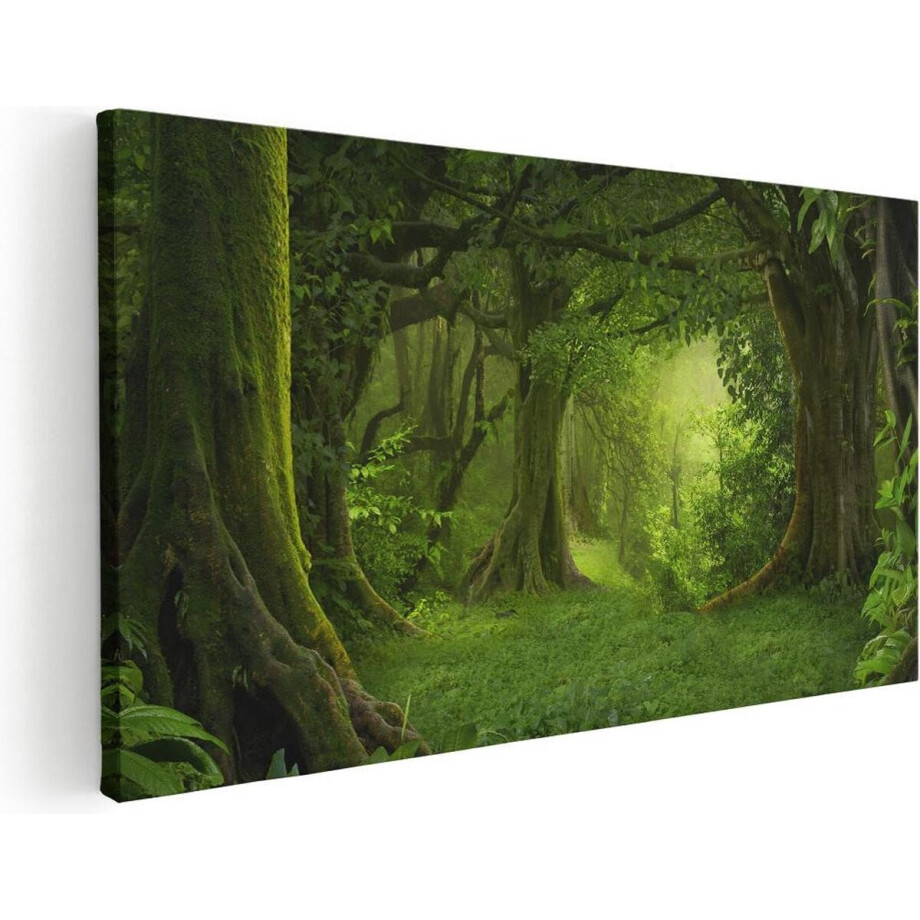 Artaza Canvas Schilderij Bos - 80x40 cm - Wanddecoratie Natuur - Muurdecoratie Bomen - Schilderijen Op Canvas Landschap afbeelding 1