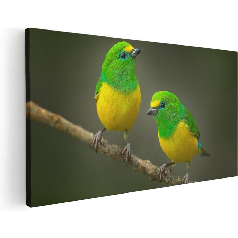 Artaza Canvas Schilderij Vogels - 80x40 cm - Wanddecoratie Vogels Op Tak - Muurdecoratie Dieren - Schilderijen Op Canvas Artaza Canvas Schilderij Vogels - 80x40 cm - Wanddecoratie Vogels Op Tak - Muurdecoratie Dieren - Schilderijen Op Canvas afbeelding 1