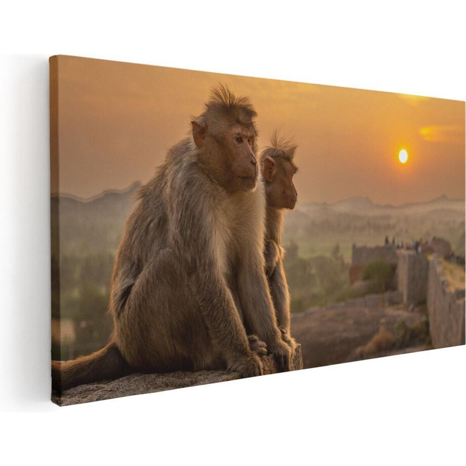 Artaza Canvas Schilderij Twee Apen Bekijken De Zonsondergang - 120x60 - Groot - Foto Op Canvas - Canvas Print Artaza Canvas Schilderij Twee Apen Bekijken De Zonsondergang - 120x60 - Groot - Foto Op Canvas - Canvas Print afbeelding 1