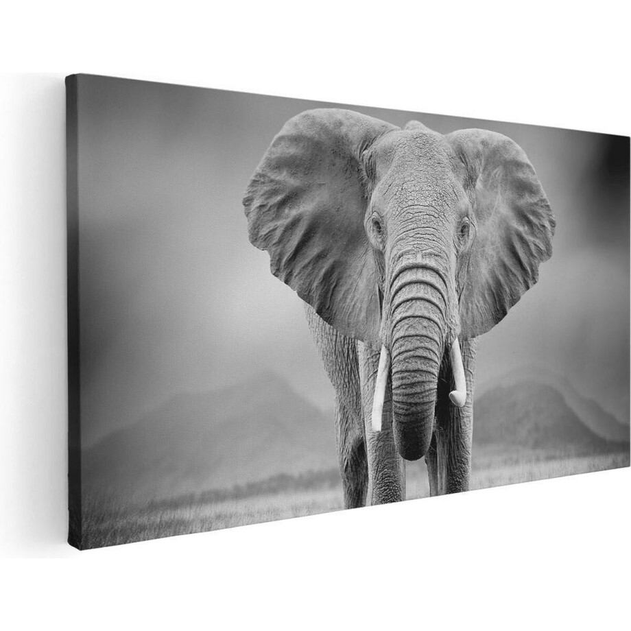 Artaza Canvas Schilderij Olifant - Zwart Wit - 100x50 - Groot - Foto Op Canvas - Canvas Print afbeelding 1