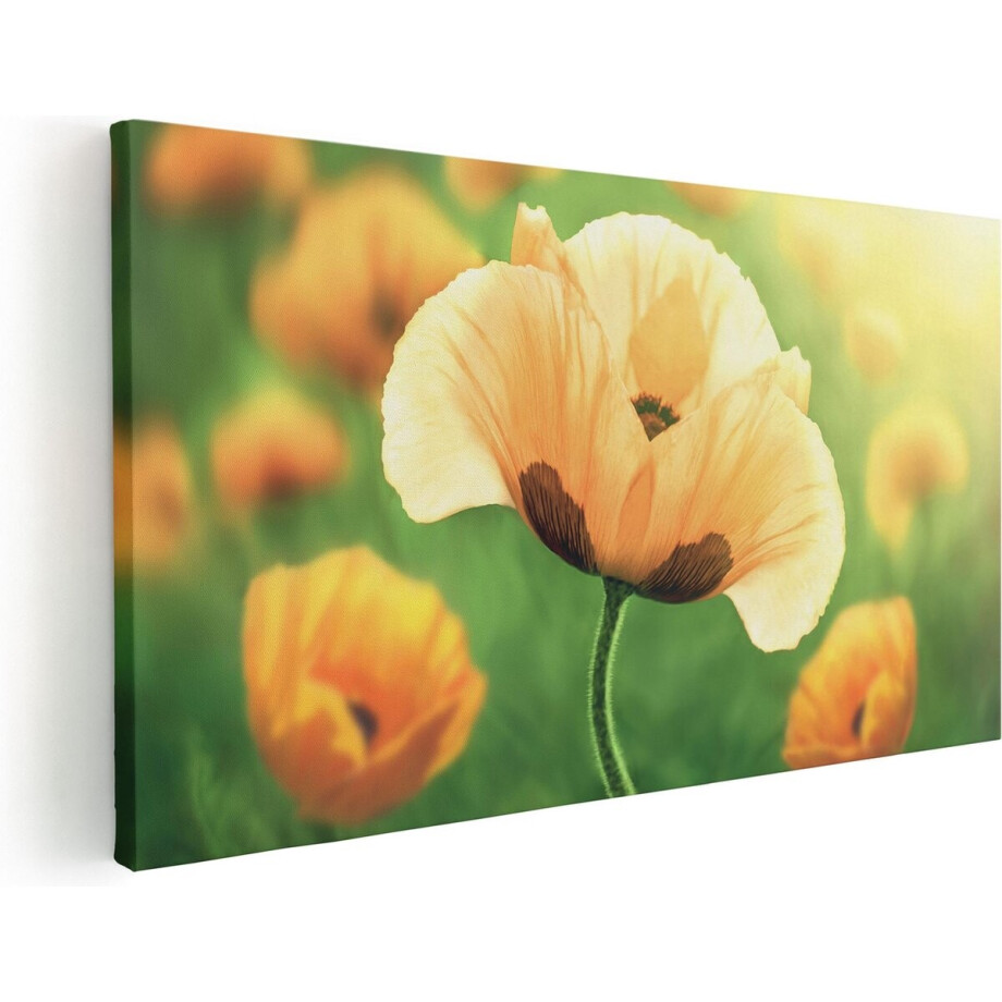 Artaza Canvas Schilderij Klaproos - 120x60 cm - Groot - Wanddecoratie Bloemen - Muurdecoratie Woonkamer - Schilderijen Op Canvas afbeelding 1
