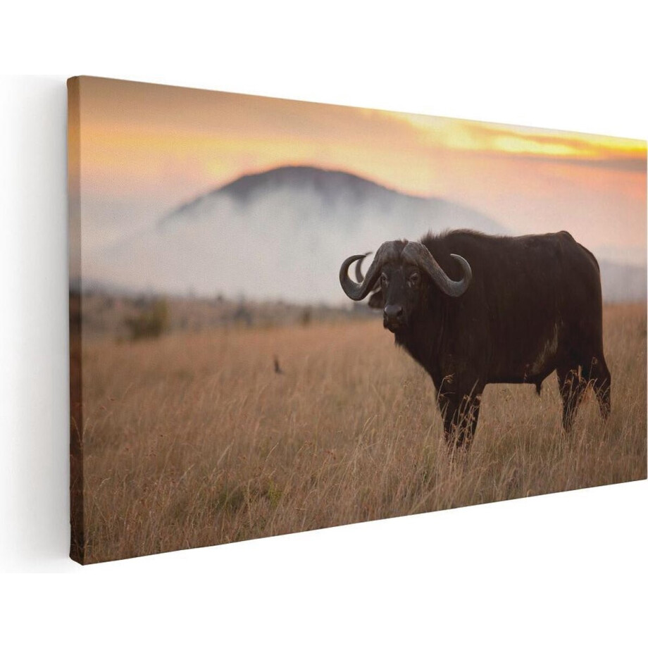Artaza Canvas Schilderij Buffel in het Gras - 120x60 - Groot - Foto Op Canvas - Canvas Print afbeelding 1