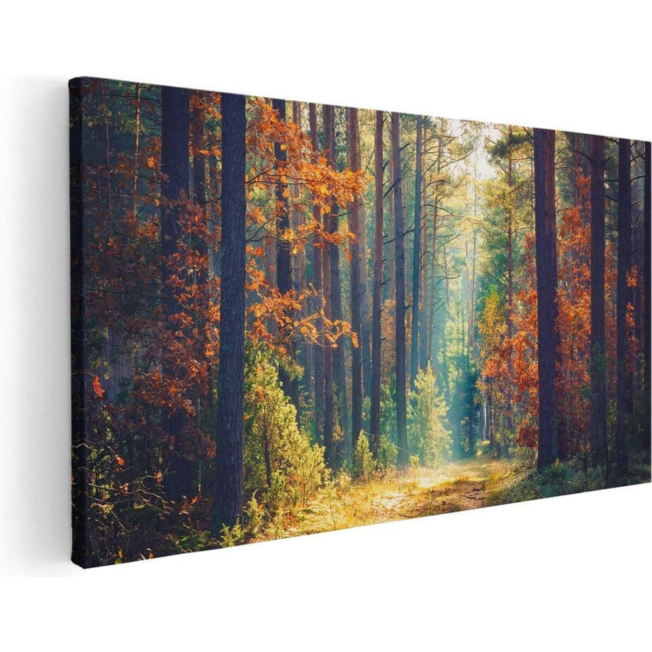 Artaza Canvas Schilderij Herfstbos - 60x30 cm - Wanddecoratie Bomen - Muurdecoratie Landschap - Kamer Accessoires Natuur Artaza Canvas Schilderij Herfstbos - 60x30 cm - Wanddecoratie Bomen - Muurdecoratie Landschap - Kamer Accessoires Natuur afbeelding 1