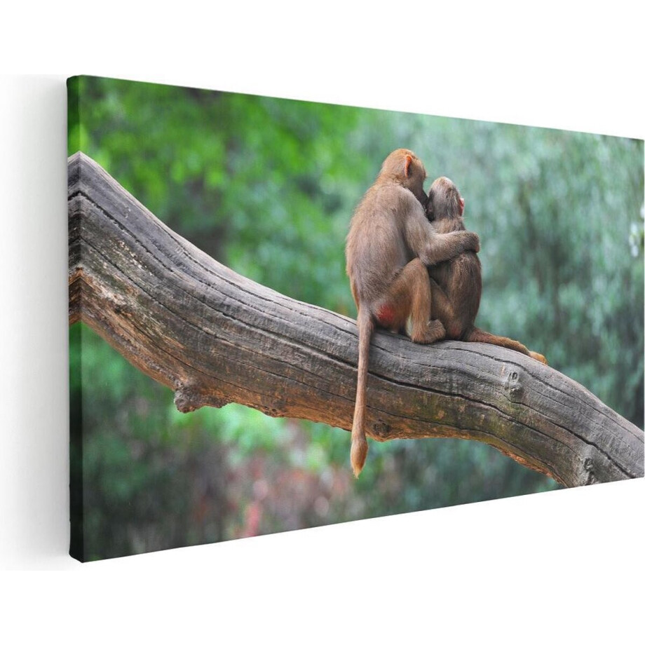 Artaza Canvas Schilderij Twee Apen Vrienden Op Een Tak In Een Boom - 100x50 - Groot - Foto Op Canvas - Canvas Print afbeelding 1