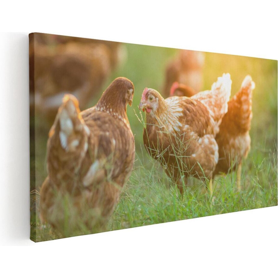 Artaza Canvas Schilderij Kippen op het Gras  - 80x40 - Foto Op Canvas - Canvas Print afbeelding 1