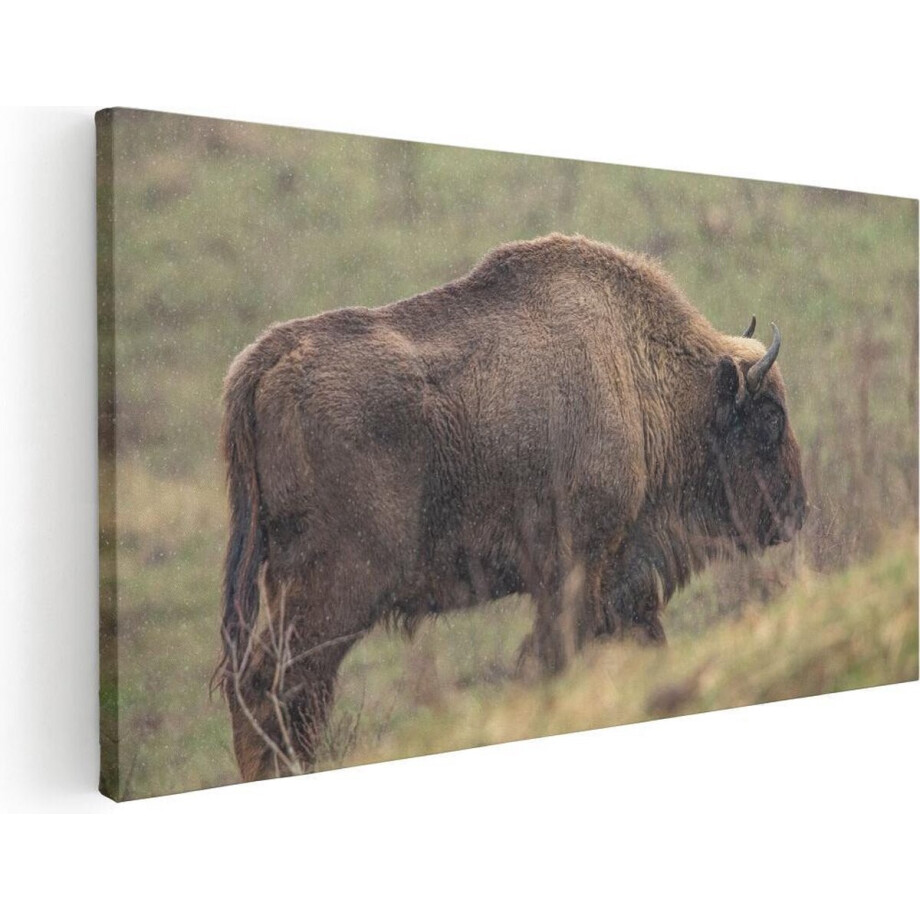 Artaza Canvas Schilderij Bizon - 80x40 cm - Wanddecoratie Dieren - Muurdecoratie Buffel - Schilderijen Op Canvas afbeelding 1