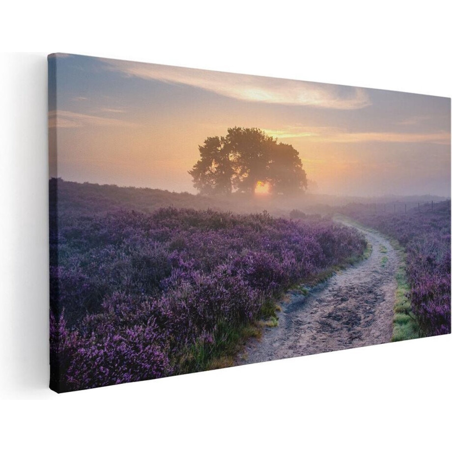 Artaza Canvas Schilderij Pad in de Weide van de Veluwe - 40x20 - Klein - Foto Op Canvas - Canvas Print afbeelding 1