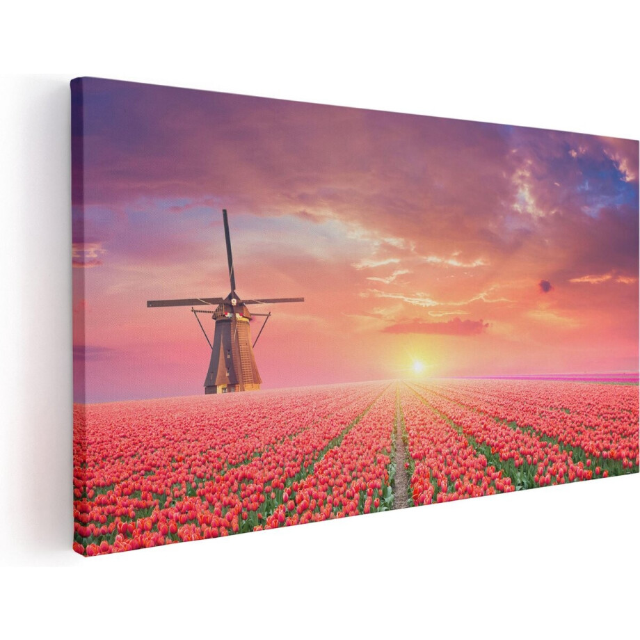 Artaza Canvas Schilderij Rode Rozen Bloemenveld Met Een Windmolen - 120x60 - Groot - Foto Op Canvas - Canvas Print Artaza Canvas Schilderij Rode Rozen Bloemenveld Met Een Windmolen - 120x60 - Groot - Foto Op Canvas - Canvas Print afbeelding 1