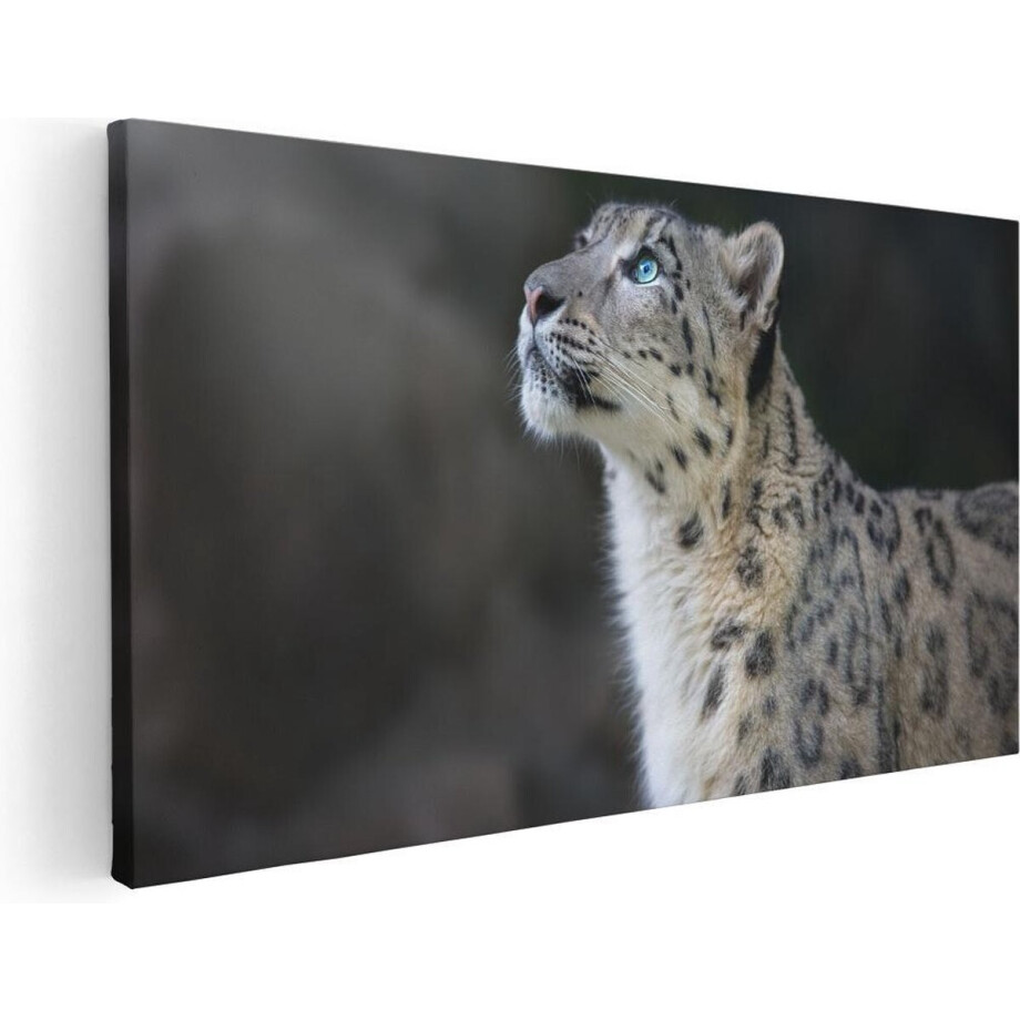 Artaza Canvas Schilderij Sneeuwluipaard - 120x60 cm - Groot - Wanddecoratie Dieren - Muurdecoratie Woonkamer - Schilderijen Op Canvas afbeelding 1