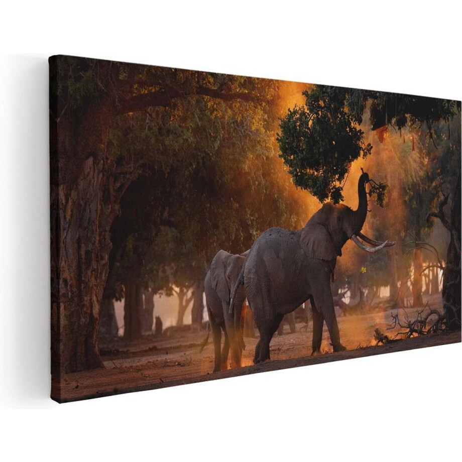 Artaza Canvas Schilderij Twee Olifanten In Het Bos - 40x20 - Klein - Foto Op Canvas - Canvas Print Artaza Canvas Schilderij Twee Olifanten In Het Bos - 40x20 - Klein - Foto Op Canvas - Canvas Print afbeelding 1