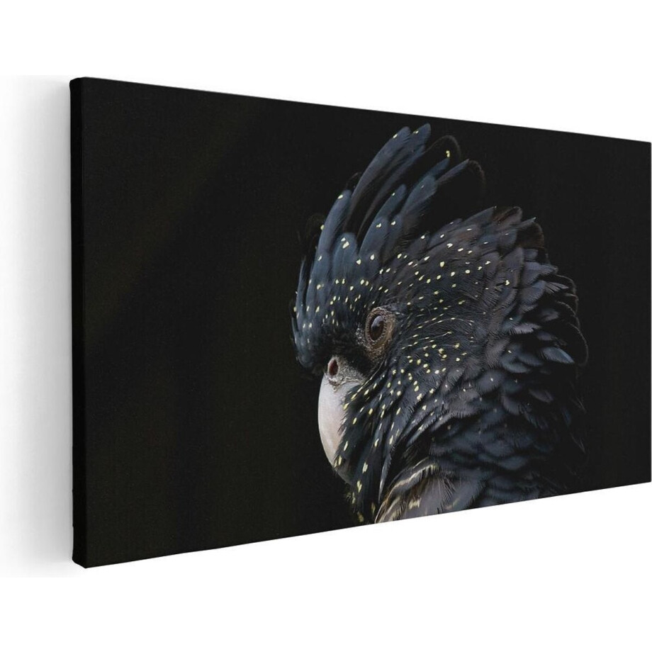 Artaza Canvas Schilderij Zwarte Kaketoe - 120x60 - Groot - Foto Op Canvas - Canvas Print afbeelding 1